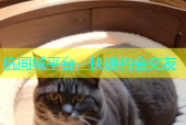 杭同城平台，快速约会交友