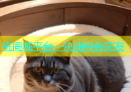 杭同城平台，快速约会交友