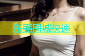 东莞同城快速