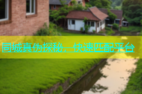 同城真伪探秘，快速匹配平台