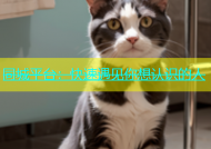 同城平台：快速遇见你想认识的人