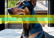 合肥同城约：快速约伴、社交平台