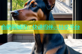 合肥同城约：快速约伴、社交平台