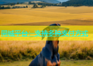 同城平台：支持多种支付方式