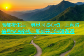 魔都夜生活：寻觅同城心动，上海微信号快速牵线，即刻开启浪漫邂逅
