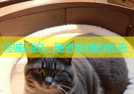 同城闪约，随时随地约起来