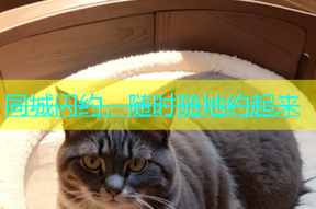 同城闪约，随时随地约起来