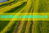 同城约聊平台，随时随地约你一起