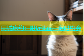 同城床约：附近速配，随时约会