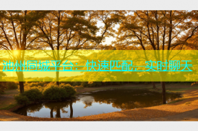 池州同城平台：快速匹配，实时聊天