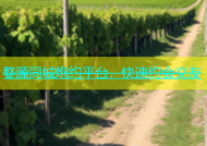 婺源同城炮约平台，快速约会交友