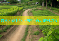 吉林同城平台，快速匹配，随时约会