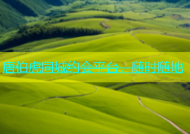 唐伯虎同城约会平台，随时随地