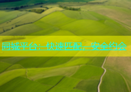 同城平台：快速匹配，安全约会