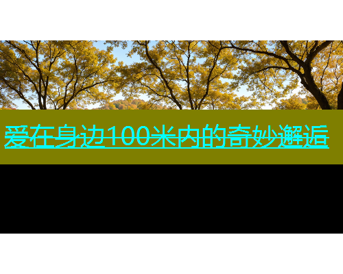 爱在身边100米内的奇妙邂逅  第1张