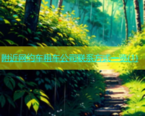 附近网约车租车公司联系方式一览(1)  第2张