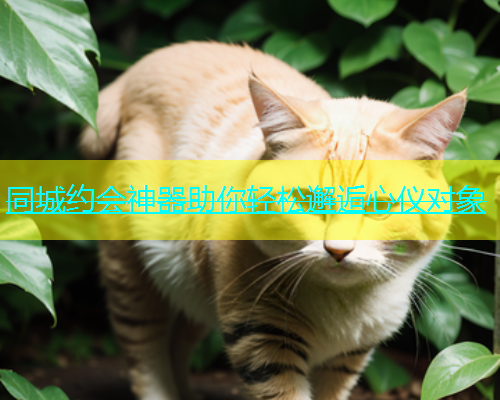 同城约会神器助你轻松邂逅心仪对象  第2张