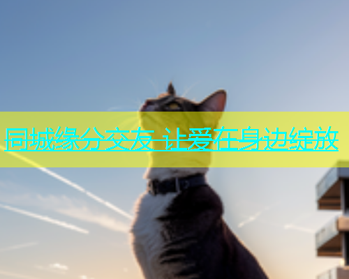 同城缘分交友 让爱在身边绽放  第1张