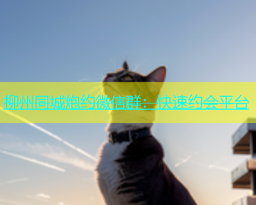 柳州同城炮约微信群：快速约会平台  第1张