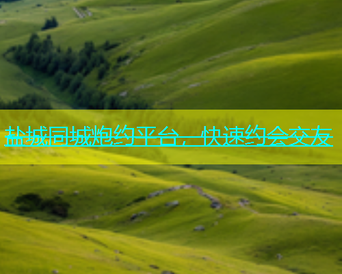 盐城同城炮约平台，快速约会交友  第1张