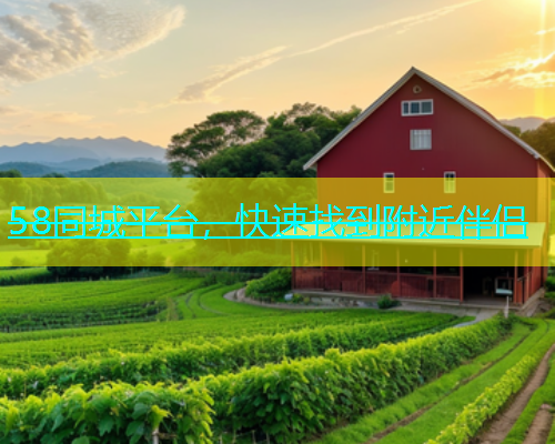 58同城平台，快速找到附近伴侣  第1张