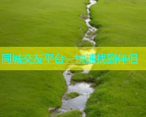 同城交友平台，快速找到伴侣  第1张
