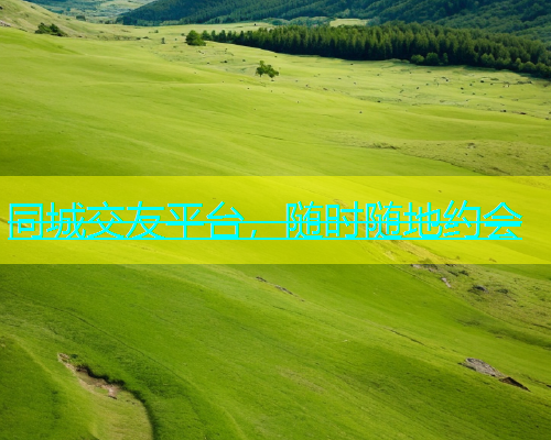 同城交友平台，随时随地约会  第1张