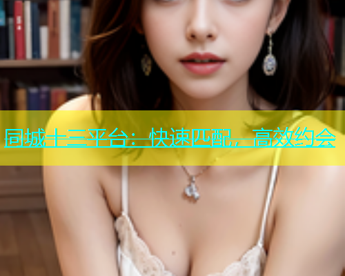 同城十三平台：快速匹配，高效约会  第1张