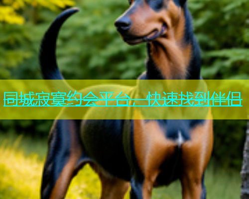 同城寂寞约会平台，快速找到伴侣  第2张