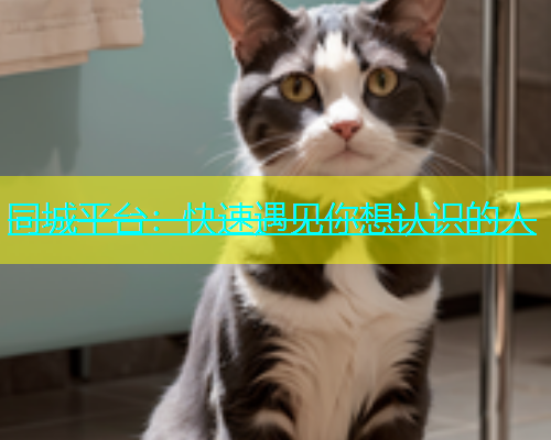 同城平台：快速遇见你想认识的人  第1张