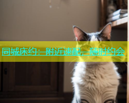 同城床约：附近速配，随时约会  第1张