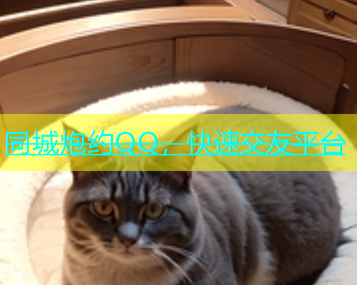 同城炮约QQ，快速交友平台  第1张