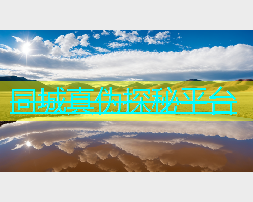 同城真伪探秘平台  第1张