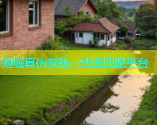 同城真伪探秘，快速匹配平台  第1张