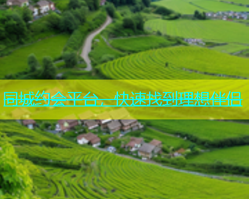 同城约会平台，快速找到理想伴侣  第1张