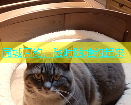 同城闪约，随时随地约起来  第1张