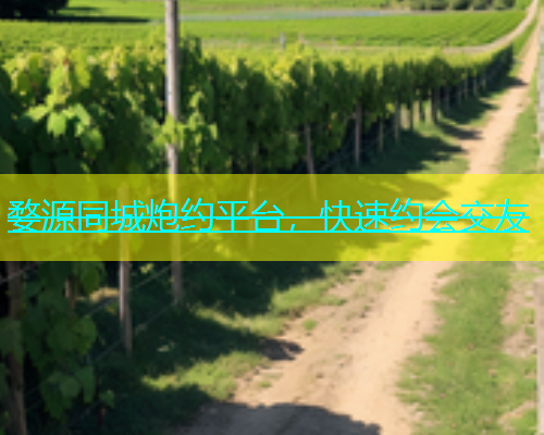 婺源同城炮约平台，快速约会交友  第1张