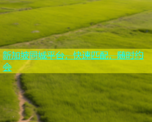 新加坡同城平台，快速匹配，随时约会  第1张