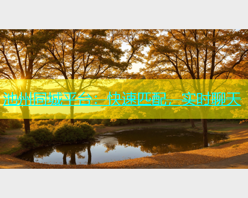 池州同城平台：快速匹配，实时聊天  第1张
