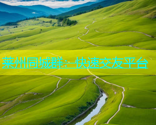 莱州同城群：快速交友平台  第2张